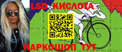 spice Моздок
