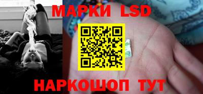 spice Моздок