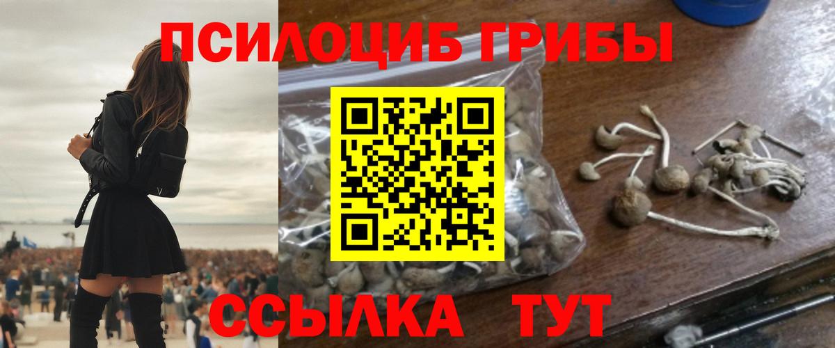 Галлюциногенные грибы Psilocybe  Вход с VPN  Тамбов 